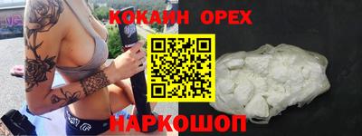 СК Кингисепп