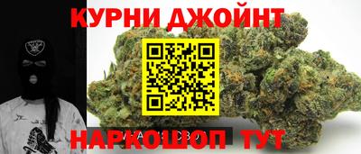 СК Кингисепп