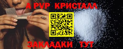 СК Кингисепп