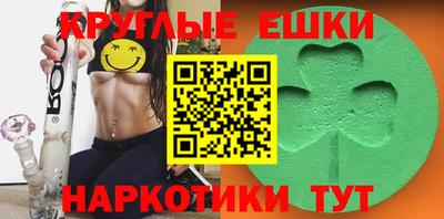 СК Кингисепп