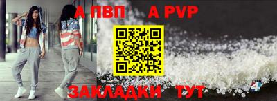 СК Кингисепп