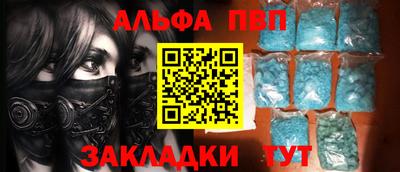 СК Кингисепп