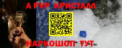 СК Кингисепп