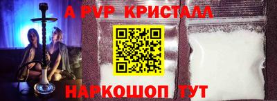 СК Кингисепп