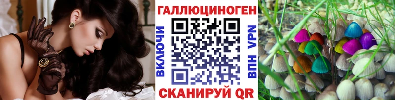 Псилоцибиновые грибы Psilocybe  Иваново 