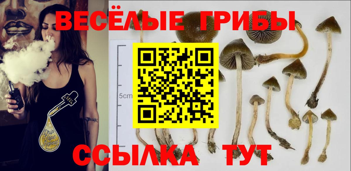 Псилоцибиновые грибы мухоморы  Вход с VPN  купить наркотики цена  Иваново 