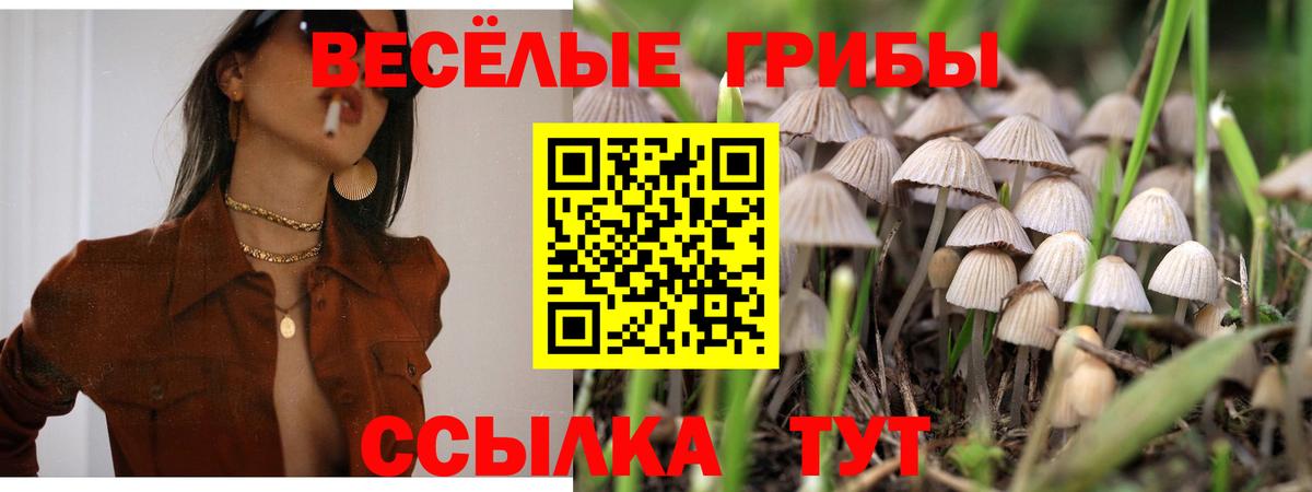 Иваново  Вход с VPN  Мефедрон кристаллы  ГАШИШ  МЕТ  МАРИХУАНА  COCAIN 
